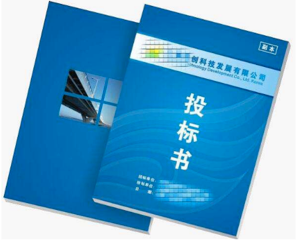 項(xiàng)目標(biāo)書翻譯多少錢，標(biāo)書翻譯公司報價
